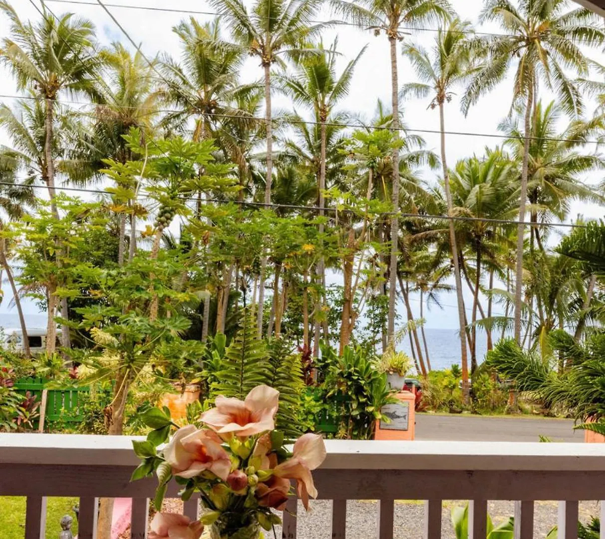 The Dolphin Cottage at Kehena Beach 0*,
