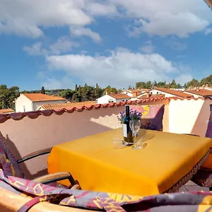 https://apartman-milina.in-istria.net