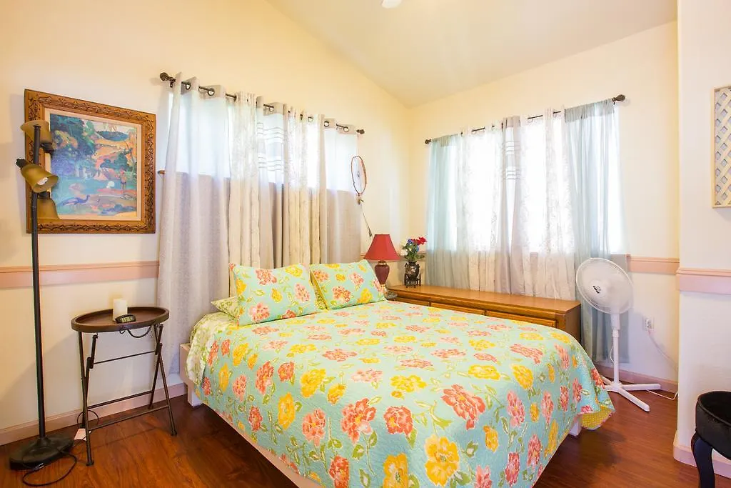The Dolphin Cottage At Kehena Beach Holiday home
